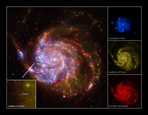 ULX-1 is located near a spiral arm of M101.