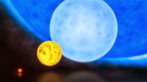 A size comparison of the Sun with a red dwarf, blue dwarf and R136a1.