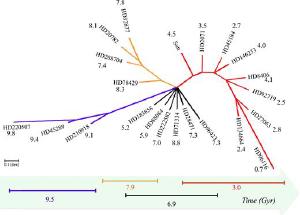 How our Sun is chemically related to other stars.