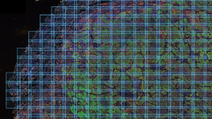Treating a biopsy sample like patches of the night sky.