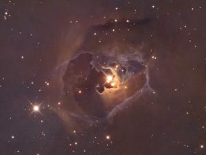 The T Tauri star V1025.