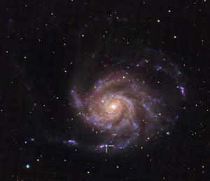 A new supernova in M101.