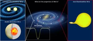 Chemical analysis of Type Ia supernova reveals their complexity.