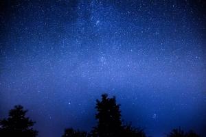 Starry Night Over the Trees.