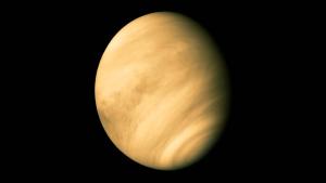 An image of Venus.