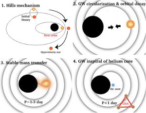 How a stripped star might be detectable by the LISA observatory.
