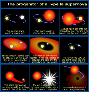 How a Type Ia supernova is formed.