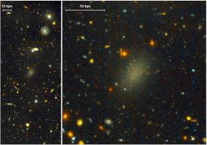 The dark galaxy Dragonfly 44.