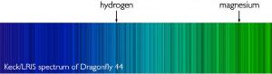 The spectra of Dragonfly 44.