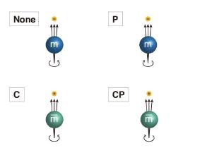 A demonstration of how CP symmetry is violated in particle decay.