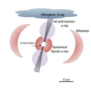 Structure of a kilonova.