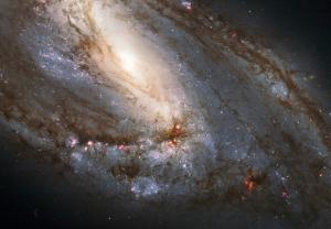 A dusty spiral galaxy known as M66.