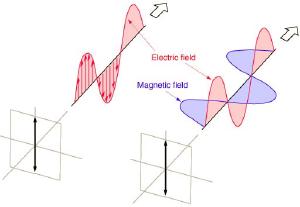 A polarized light wave.