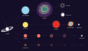 How different types of stars live and die.