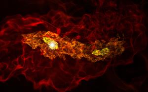 Simulation of early stars forming.