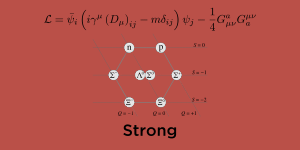 The force of nuclei.