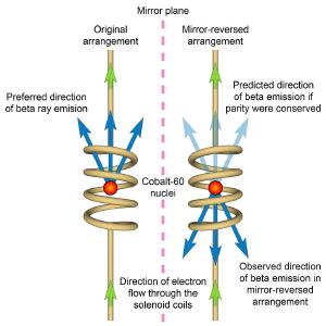 The basic idea of the Wu experiment.
