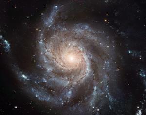 The Pinwheel Galaxy.