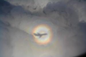 A solar glory seen from an airplane.