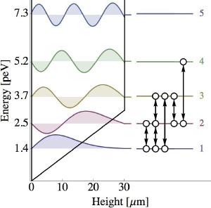 The quantum gravity energy levels for a neutron.