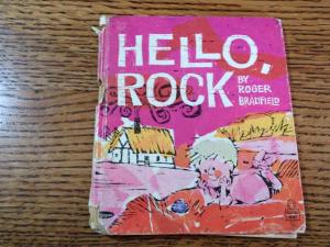 A children's book about rocks.