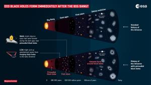 How we might discover primordial black holes.