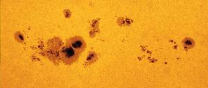 A group of sunspots.