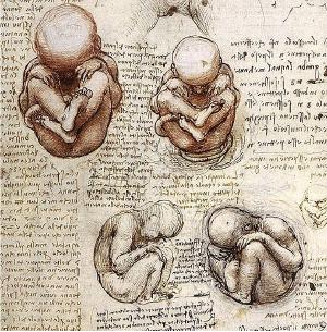 Excerpt from da Vinci's notebooks.