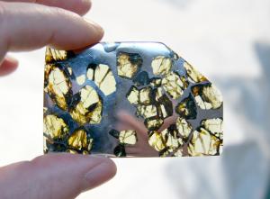 A slice of the Esquel meteorite.