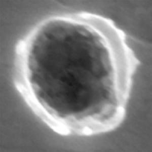 An interstellar dust grain caught by aerogel.