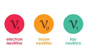 Neutrinos come in three flavors.