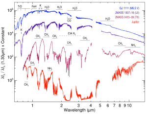 The spectra from a red dwarf (blue) and two brown dwarfs (purple and magenta). Notice how each curve approximates a blackbody. Jupiter on the other hand (red) has a very different spectrum, since it is a planet.