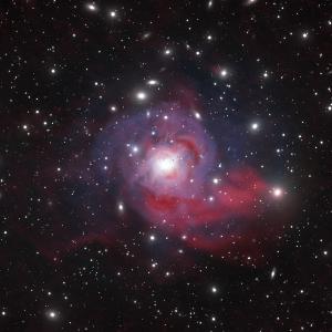 A wide multi-wavelength composite view of NGC 1275.