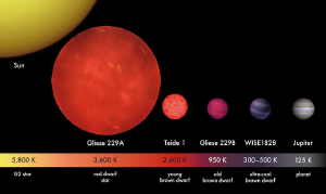 A comparison of brown dwarfs.