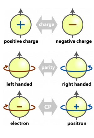 Examples of symmetry in physics.