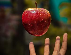 A falling apple.