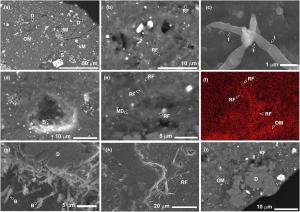 Electron microscope images of sample A0180, showing the presence of life.