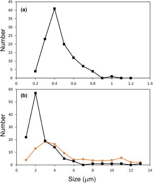 The size distribution is consistent with terrestrial life.