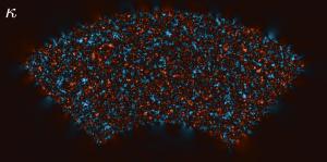 Polarization fluctuations within the CMB.