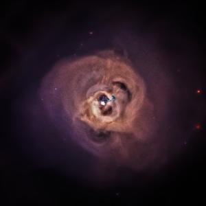 The Perseus Cluster.
