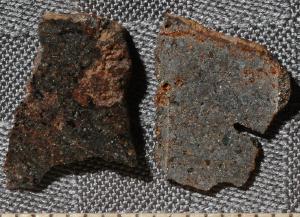 Slices of a primitive achondrite meteorite.