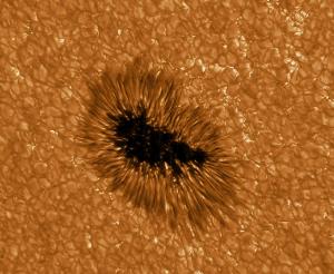 A sunspot observed in high resolution by the GREGOR telescope.