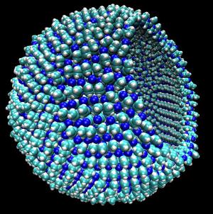 Theoretical cell-like structure that could exist on Titan.