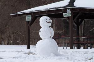 A snowman in Rochester, NY.