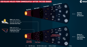 Formation of the universe with and without primordial black holes.