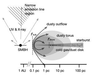 Schematic showing how black hole exoplanets might form.