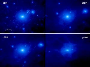 A model galaxy with different types of dark matter.