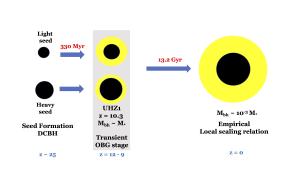 Direct collapse vs gradual growth of black holes.