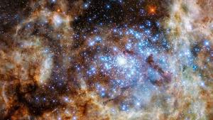 The Tarantula Nebula of the LMC has become a factory for some very big stars.