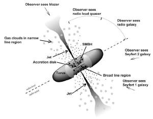 In the doughnut model, black holes are obscured or unobscured based upon their orientation.